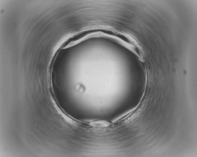 X0000070211046200606161636