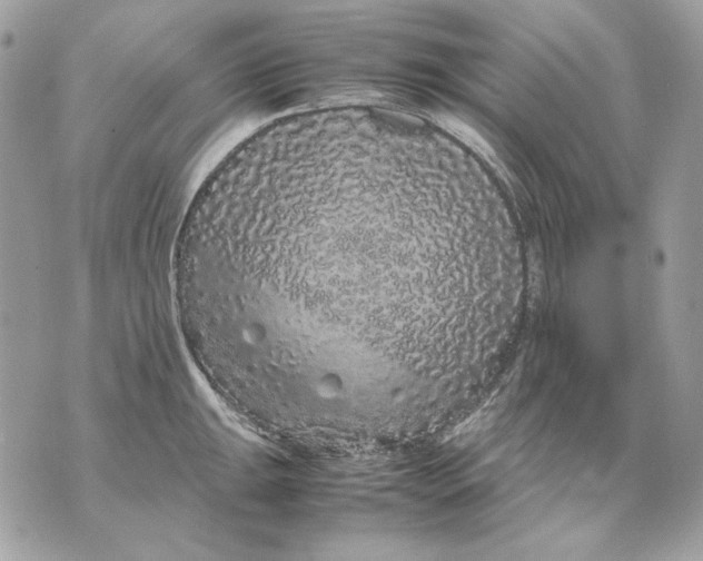 X0000070211047200606161636