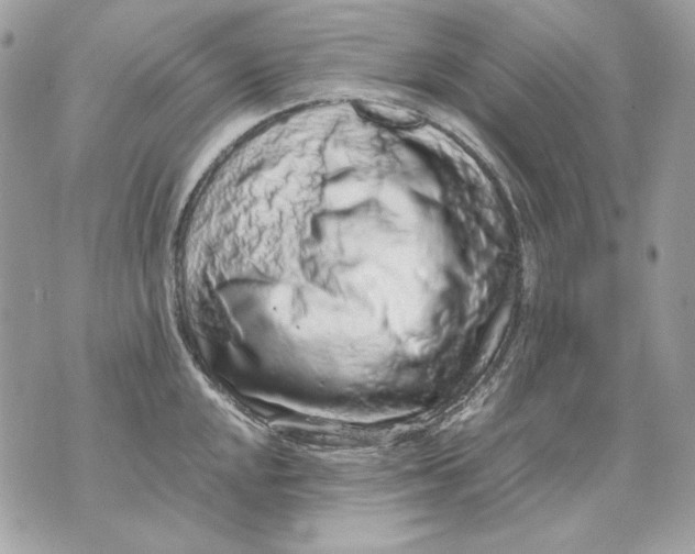 X0000070211048200606161636