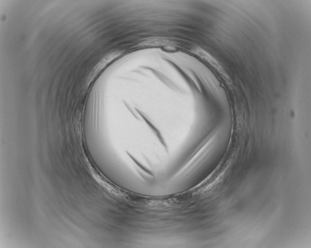 X0000070211049200606161637