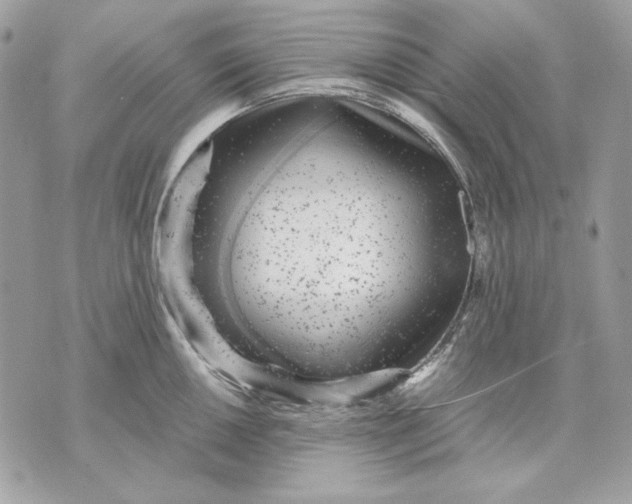 X0000070211050200606161637