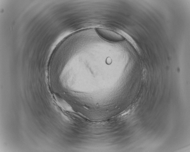 X0000070211051200606161637