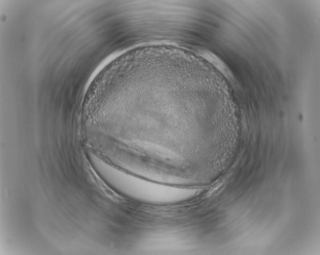 X0000070211052200606161637