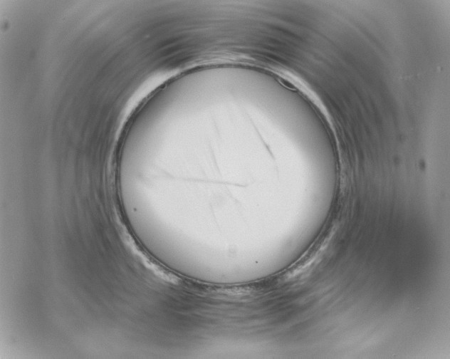 X0000070211053200606161637