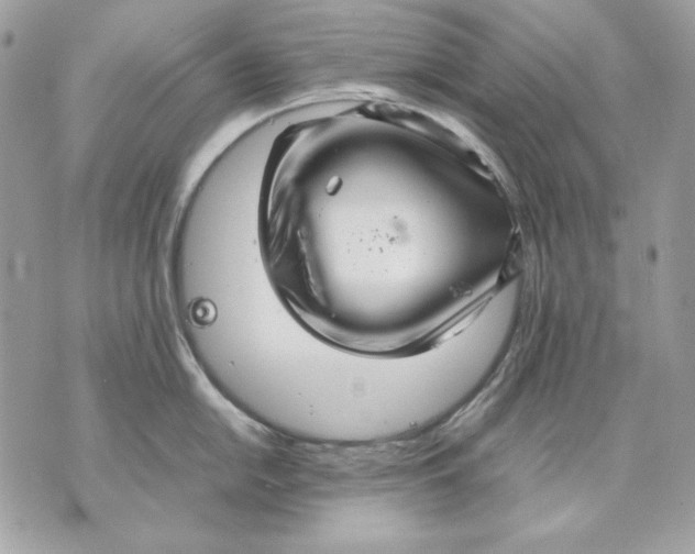 X0000070211054200606161637