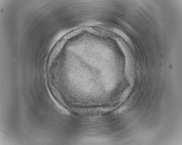 X0000070211055200606161637