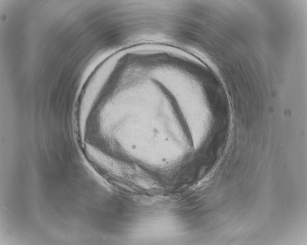 X0000070211056200606161637