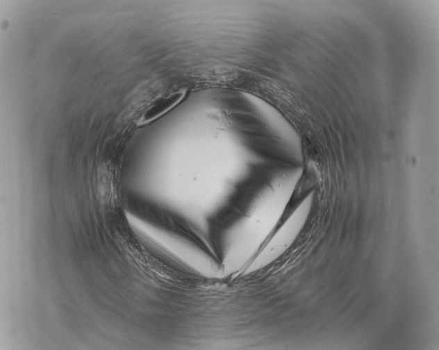 X0000070211058200606161636