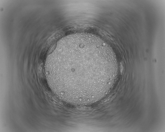 X0000070211059200606161636