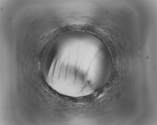 X0000070211061200606161636