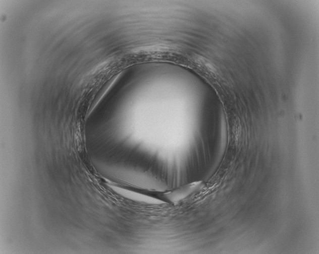 X0000070211062200606161636