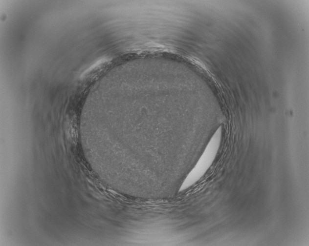 X0000070211063200606161636