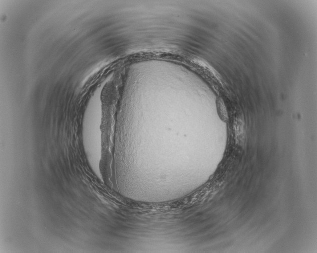 X0000070211064200606161636