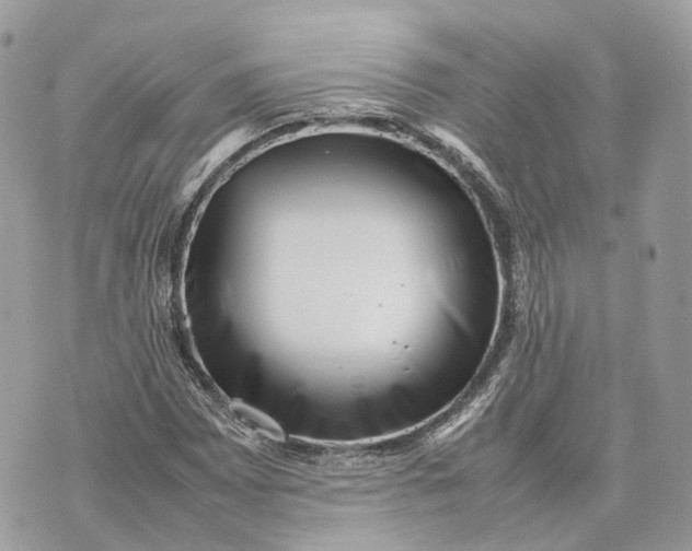 X0000070211065200606161636