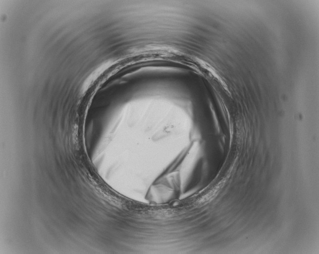 X0000070211066200606161636