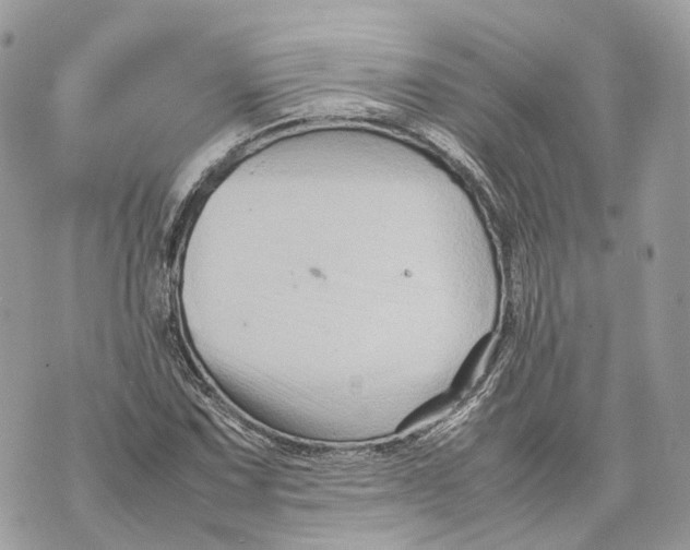 X0000070211067200606161636