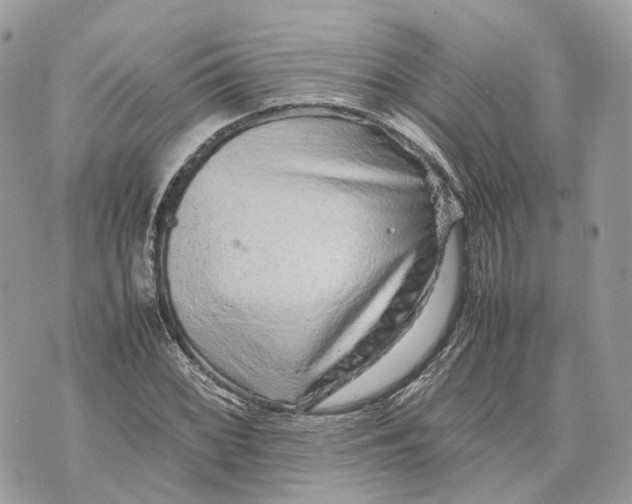 X0000070211068200606161636