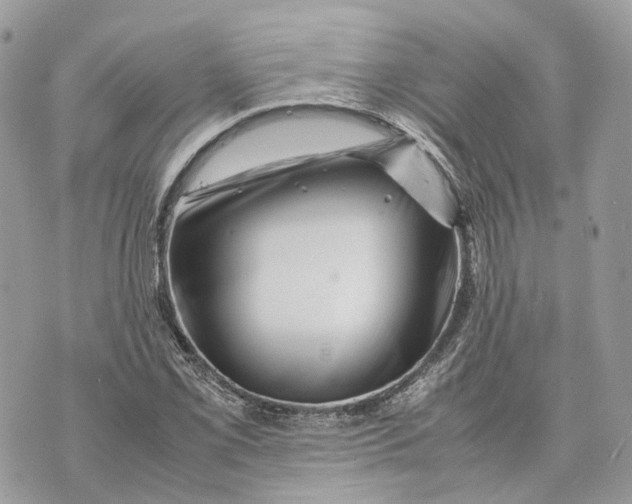 X0000070211069200606161636