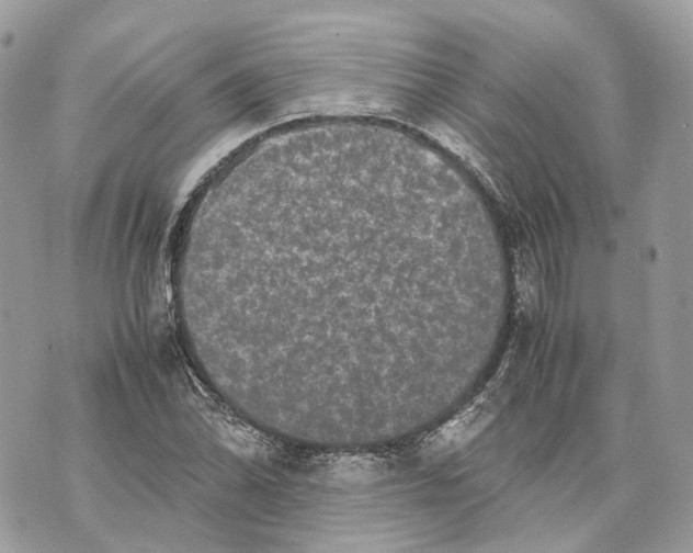 X0000070211070200606161636