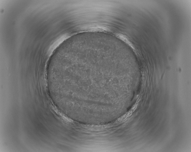 X0000070211071200606161636