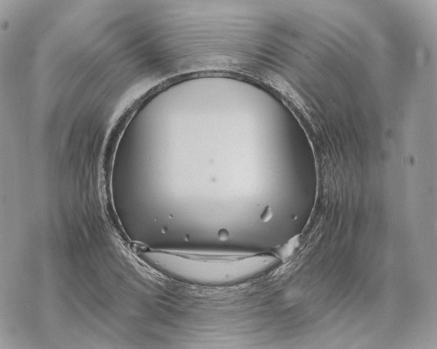 X0000070211072200606161636