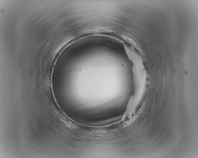 X0000070211073200606161636