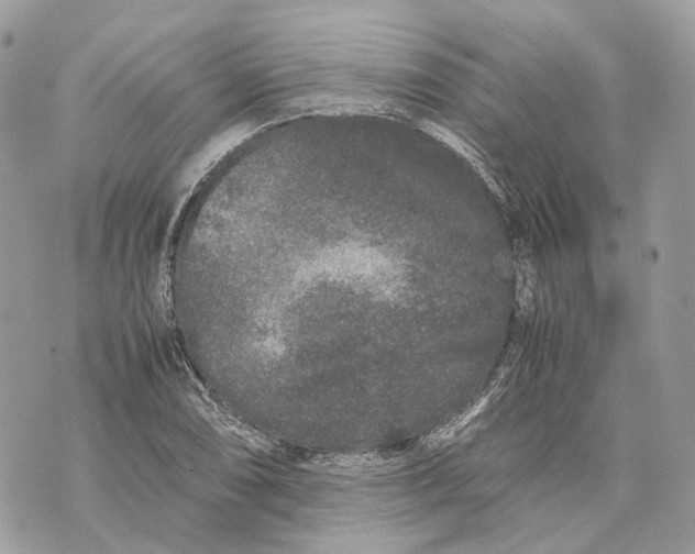 X0000070211074200606161636