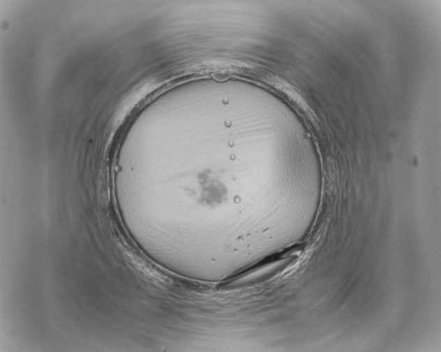 X0000070211075200606161636