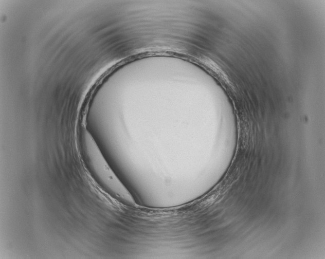 X0000070211076200606161636