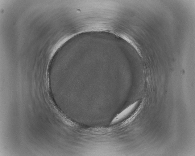 X0000070211077200606161635