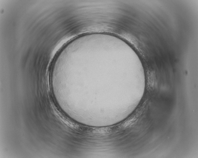 X0000070211078200606161635