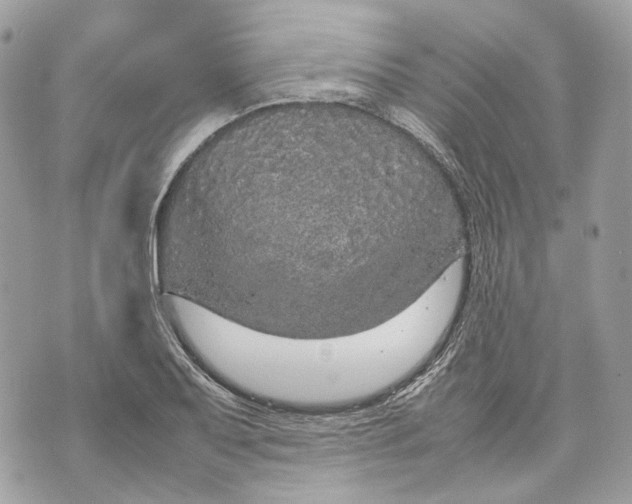 X0000070211079200606161635