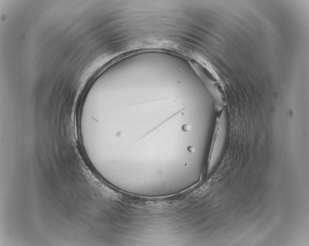 X0000070211080200606161635