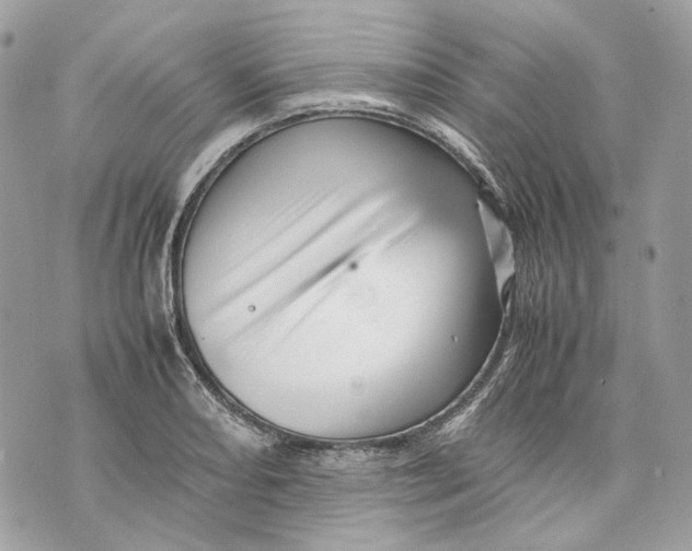 X0000070211082200606161635