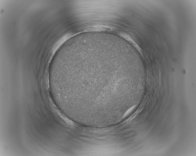 X0000070211083200606161635