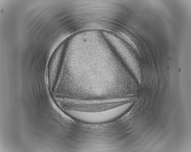 X0000070211084200606161635