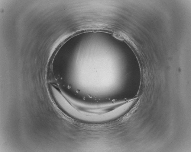 X0000070211085200606161635