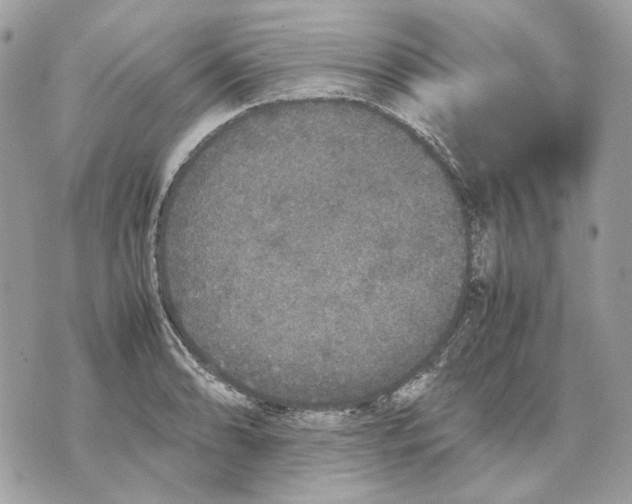 X0000070211086200606161635