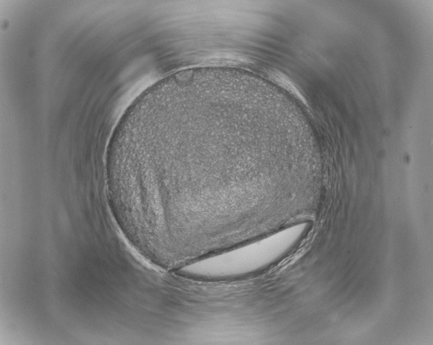 X0000070211087200606161635