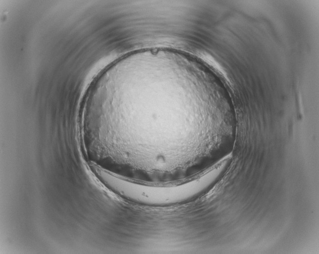 X0000070211088200606161635