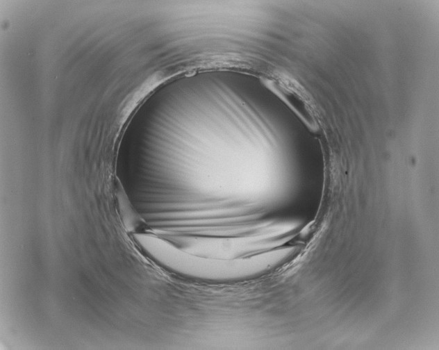 X0000070211089200606161635