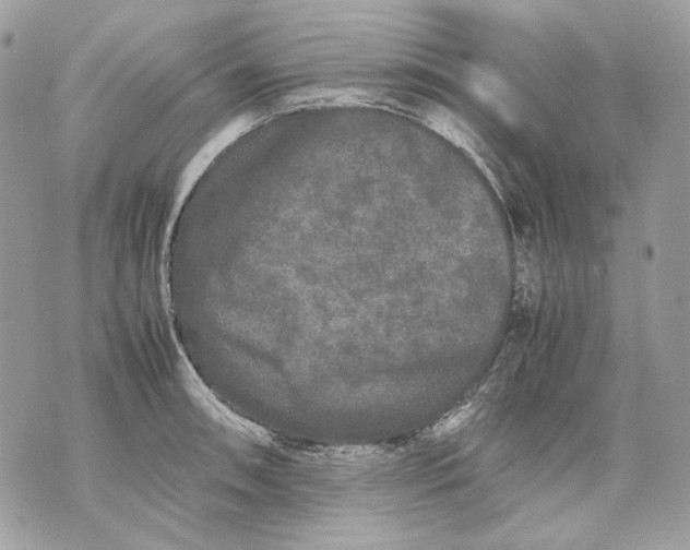 X0000070211090200606161635