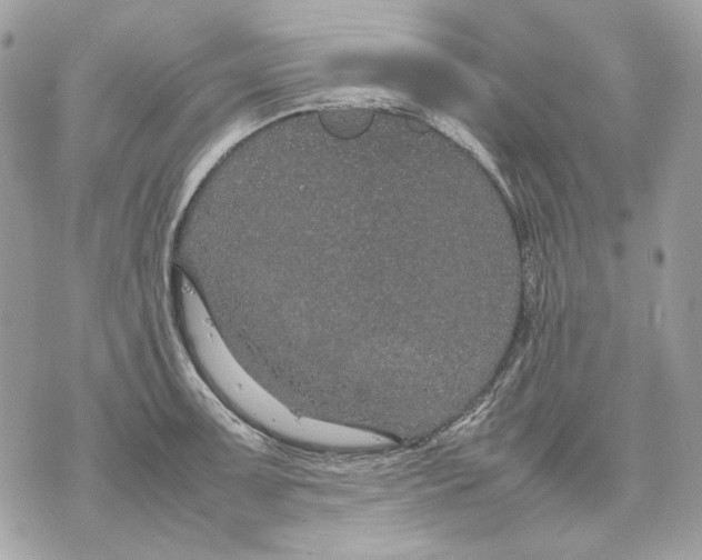 X0000070211091200606161635