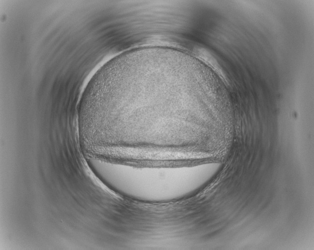 X0000070211092200606161635