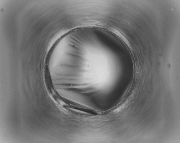 X0000070211093200606161635