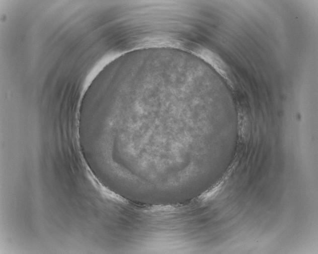 X0000070211094200606161635