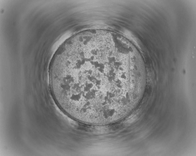 X0000070211095200606161635