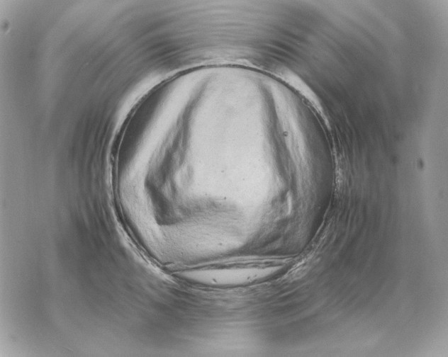 X0000070211096200606161635