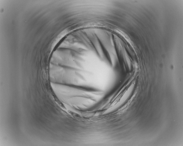 X0000070211097200606161635