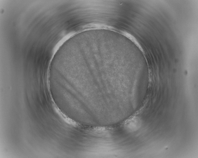 X0000070211098200606161635